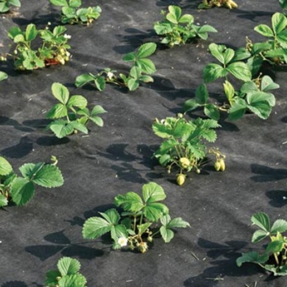 Netkaná textília 3,2x100m 50g/m2 čierna