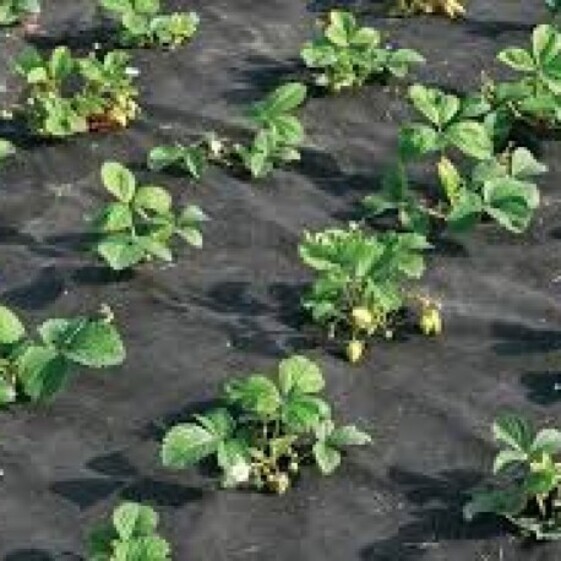 Netkaná textília 1,6x5m 50g/m2 čierna