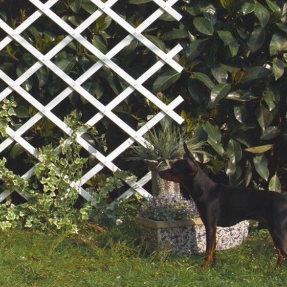 Mriežka plastová Trelliflex biela 0,5x1,5m