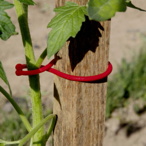 Tomato Klips 25ks/bl červené