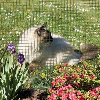 Pletivo štvorcové poplast zelené 1x25m/16mm/1,2mm