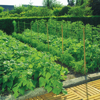 Sieť podporná oko 10x10cm Zelená 1,2x5m