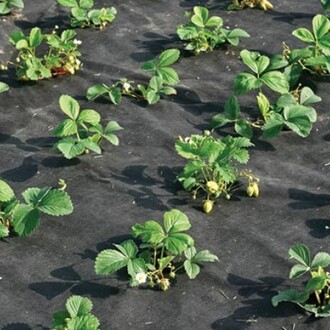 Netkaná textília 3,2x100m 50g/m2 čierna