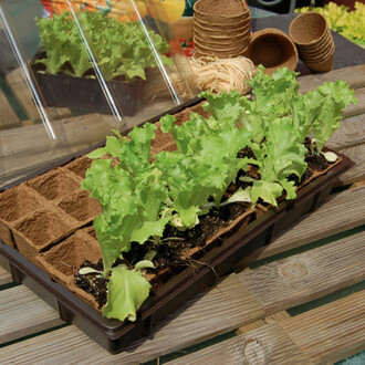 Mini skleník Growing Kit 38x23cm