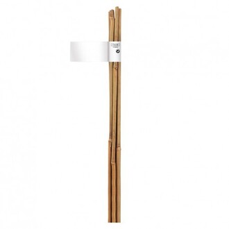 Bambusová tyč prírodná o6-8mmx0,6m