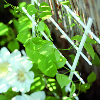 Podpera na kvety DRAB rebrík 38cm biela