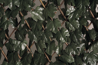 mriezka-trelliwillow-hedra-s-kruspan-listami-1x2m-1