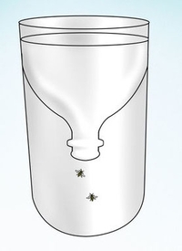 pasca-na-osy-drziak-na-pet-flasu-1