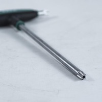 skrutkovac-torx-th10-2