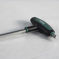 skrutkovac-imbus-2x100mm-1