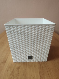 kvet-rato-sq-biely-26-5cm-1