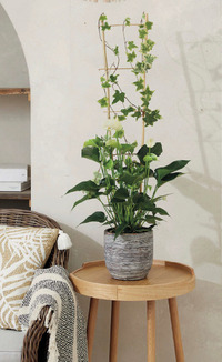 echelle-bamboo-podpora-kvetov-0-9m-1