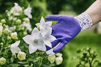 rukavice-flower-lila-velkost-7-3