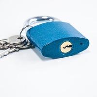 zamok-visiaci-38mm-1